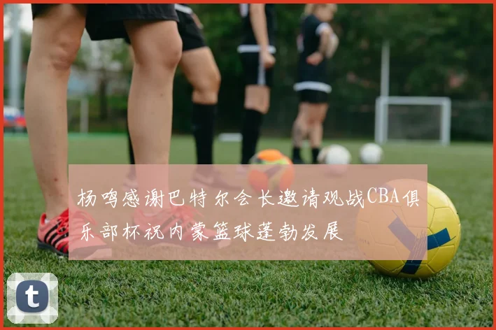 杨鸣感谢巴特尔会长邀请观战CBA俱乐部杯祝内蒙篮球蓬勃发展