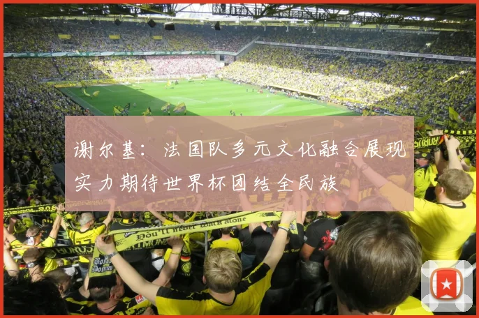 谢尔基：法国队多元文化融合展现实力期待世界杯团结全民族